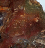 Fancy Jasper lapidary rough  1.7 lb  (828 grams)
