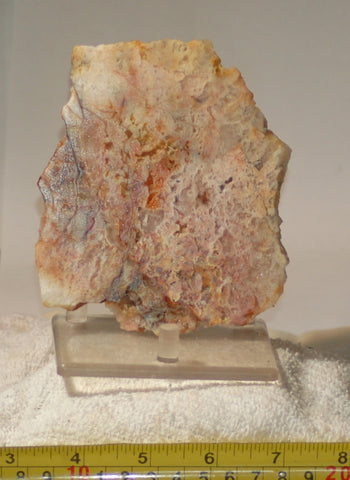 Feather Ridge Plume Agate  slab 3.8 oz (110 grams) - radiantrocksct