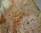 Feather Ridge Plume Agate  slab 3.8 oz (110 grams) - radiantrocksct