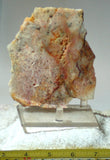 Feather Ridge Plume Agate  slab 3.8 oz (110 grams) - radiantrocksct