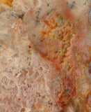 Feather Ridge Plume Agate  slab 3.8 oz (110 grams) - radiantrocksct