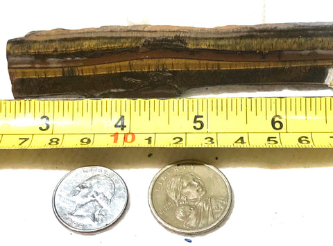 Gold Tiger's Eye lapidary cabochon slab 1.2 oz (35 grams) - radiantrocksct
