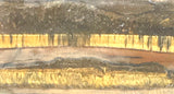 Gold Tiger's Eye lapidary cabochon slab 1.2 oz (35 grams) - radiantrocksct