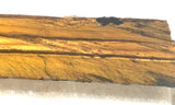 Gold Tiger's Eye lapidary cabochon slab 1.0 oz (30 grams) - radiantrocksct