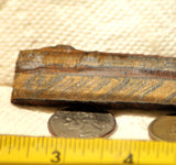 Gold Tiger's Eye lapidary cabochon slab 1.04 oz (30 grams) - radiantrocksct