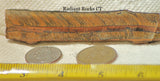 Gold Tiger's Eye lapidary cabochon slab 1.04 oz (30 grams) - radiantrocksct