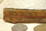 Gold Tiger's Eye lapidary cabochon slab 1.04 oz (30 grams) - radiantrocksct