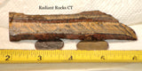 Gold Tiger's Eye lapidary cabochon slab 1.62 oz (46 grams) - radiantrocksct
