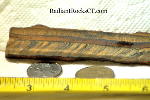 Gold Tiger's Eye lapidary cabochon slab 1.44 oz (41 grams) - radiantrocksct