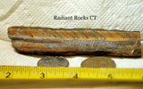 Gold Tiger's Eye lapidary cabochon slab 1.31 oz (37 grams) - radiantrocksct
