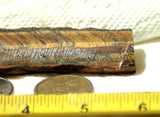 Gold Tiger's Eye lapidary cabochon slab 1.31 oz (37 grams) - radiantrocksct