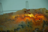 Graveyard Point Regency Rose Agate Slab - Radiant Rocks CT
