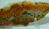 Graveyard Point Regency Rose Agate Slab - Radiant Rocks CT