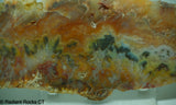 Graveyard Point Regency Rose Agate Slab - Radiant Rocks CT