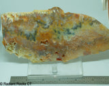 Graveyard Point Regency Rose Agate Slab - Radiant Rocks CT
