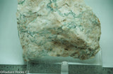 Green White Tree Agate Lapidary Heel Slab - Radiant Rocks CT