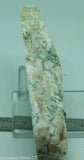Green White Tree Agate Lapidary Heel Slab - Radiant Rocks CT