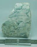 Green White Tree Agate Lapidary Heel Slab - Radiant Rocks CT