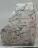 Green White Tree Agate Lapidary Heel Slab - Radiant Rocks CT