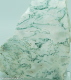 Green White Tree Agate Lapidary Heel Slab - Radiant Rocks CT