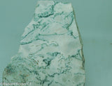 Green White Tree Agate Lapidary Heel Slab - Radiant Rocks CT
