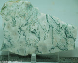 Green White Tree Agate Lapidary Heel Slab - Radiant Rocks CT