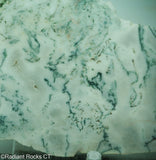 Green White Tree Agate Lapidary Heel Slab - Radiant Rocks CT