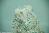 Green White Tree Agate Lapidary Heel Slab - Radiant Rocks CT