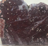 Hornitos Poppy Jasper Lapidary Slab -  Radiant Rocks CT