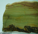 Imperial Jasper Lapidary Slab - Radiant Rocks CT