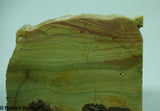 Imperial Jasper Lapidary Slab - Radiant Rocks CT
