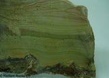 Imperial Jasper Lapidary Slab - Radiant Rocks CT
