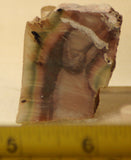 Imperial Jasper Lapidary slabs 2 cabbing pieces 1.3 oz (38 grams) - radiantrocksct