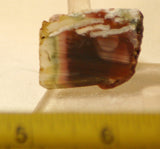 Imperial Jasper Lapidary slabs 2 cabbing pieces 0.7 oz (19 grams) - radiantrocksct