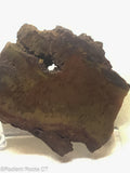 Indo Flame, Indonesian Sagenite Agate  Slab - Radiant Rocks CT