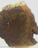 Indo Flame, Indonesian Sagenite Agate  Slab - Radiant Rocks CT