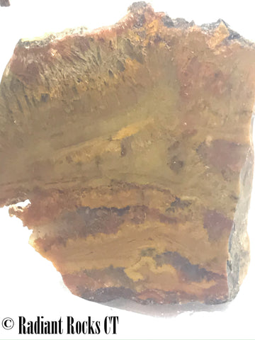 Indo Flame, Indonesian Sagenite Agate lapidary heel slab 5.2 ounces (150 grams)