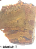 Indo Flame, Indonesian Sagenite Agate lapidary heel slab 5.2 ounces (150 grams)