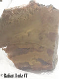 Indo Flame, Indonesian Sagenite Agate lapidary heel slab 5.2 ounces (150 grams)
