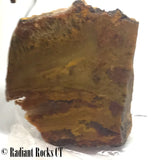 Indo Flame, Indonesian Sagenite Agate lapidary heel slab 5.2 ounces (150 grams)