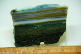 Indonesian River Jasper lapidary slab  - Radiant Rocks CT