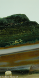 Indonesian River Jasper - Radiant Rocks CT