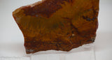 Indo Flame, Indonesian Sagenite Agate lapidary slab 3.8 ounces (105 grams)