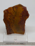 Indo Flame, Indonesian Sagenite Agate lapidary slab 3.8 ounces (105 grams)