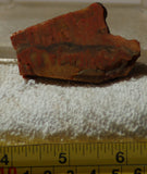 Indo Flame, Indonesian Sagenite Agate lapidary slab 1.0 oz  (28 grams) - radiantrocksct