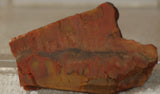 Indo Flame, Indonesian Sagenite Agate lapidary slab 1.0 oz  (28 grams) - radiantrocksct