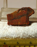 Indo Flame, Indonesian Sagenite Agate lapidary slab 1.0 oz  (28 grams) - radiantrocksct