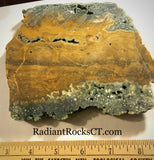 Indonesian Orbicular Jasper slab 16.8 oz (475 grams) - radiantrocksct