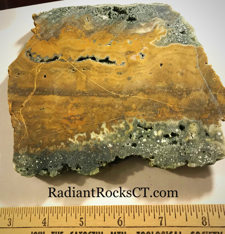 Indonesian Orbicular Jasper slab 16.8 oz (475 grams) - radiantrocksct