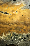 Indonesian Orbicular Jasper slab 16.8 oz (475 grams) - radiantrocksct